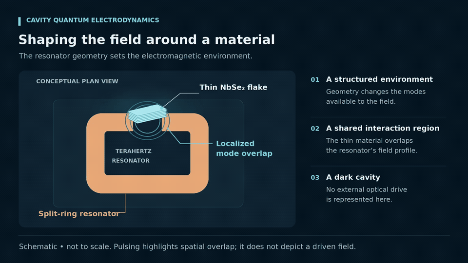 Animated schematic of a split-ring resonator with a thin NbSe₂ flake overlapping a localized cavity mode