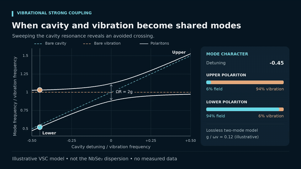 Animated avoided-crossing plot showing upper and lower vibrational polaritons exchanging field and vibrational character as the cavity frequency is tuned