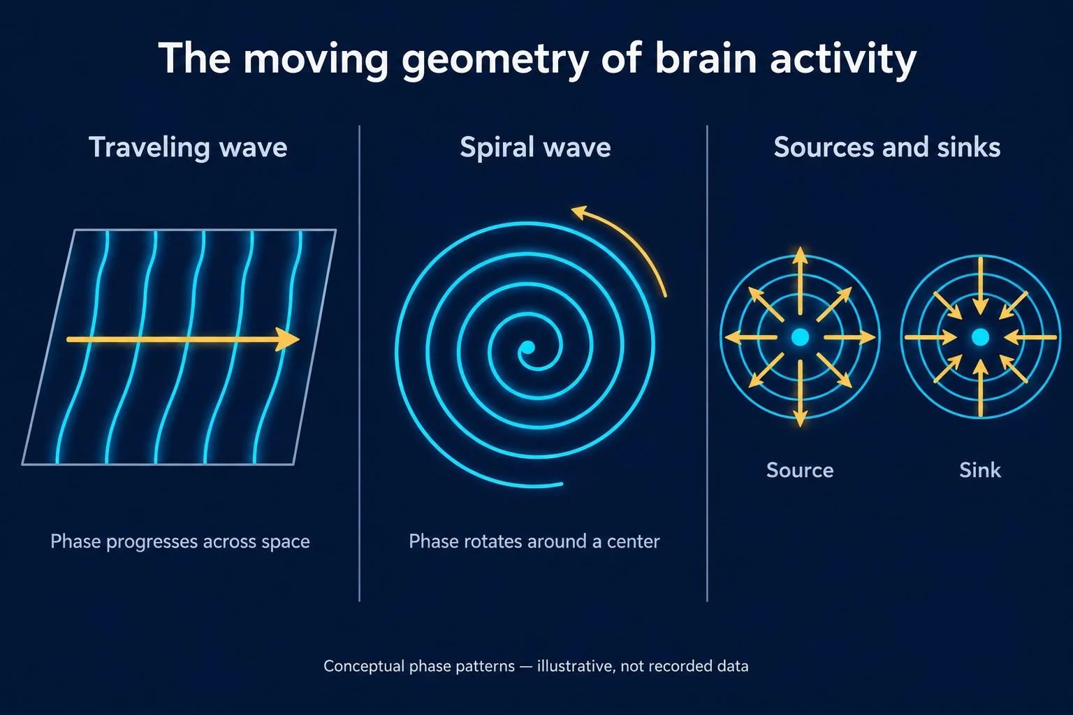 Conceptual comparison of parallel traveling wavefronts, a rotating spiral wave, an outward-spreading source, and an inward-converging sink.